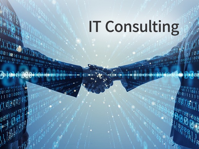 IT Consulting